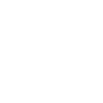 Bears logo