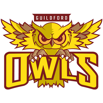 Owls