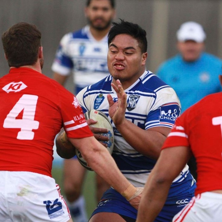 Bulldogs V Cutters - VB NSW Cup Rd 18