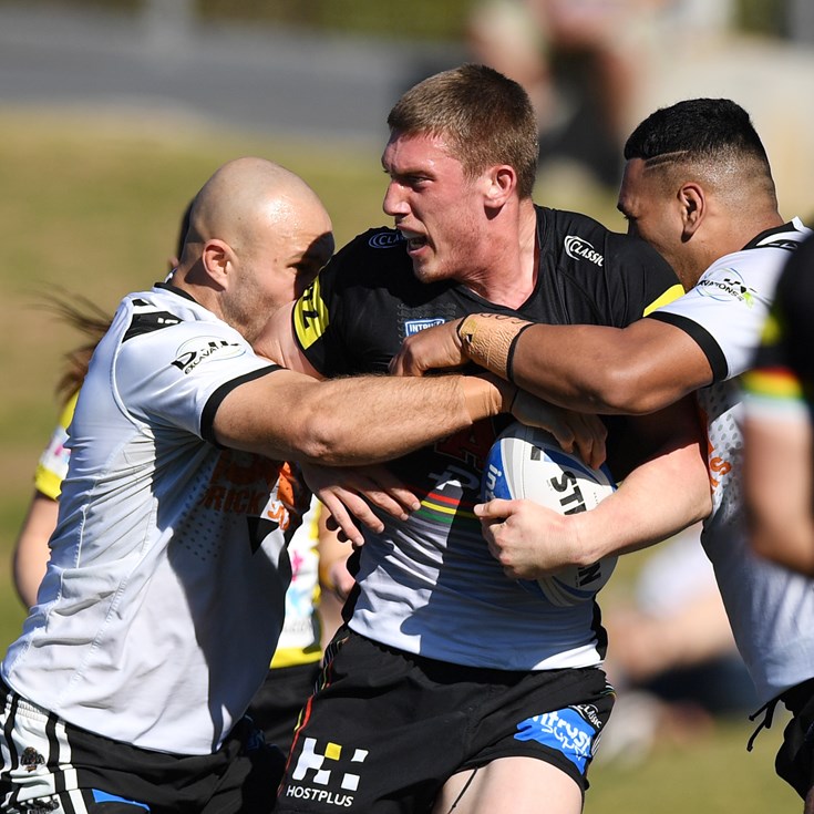 Panthers Wrap Up Minor Premiership in Style